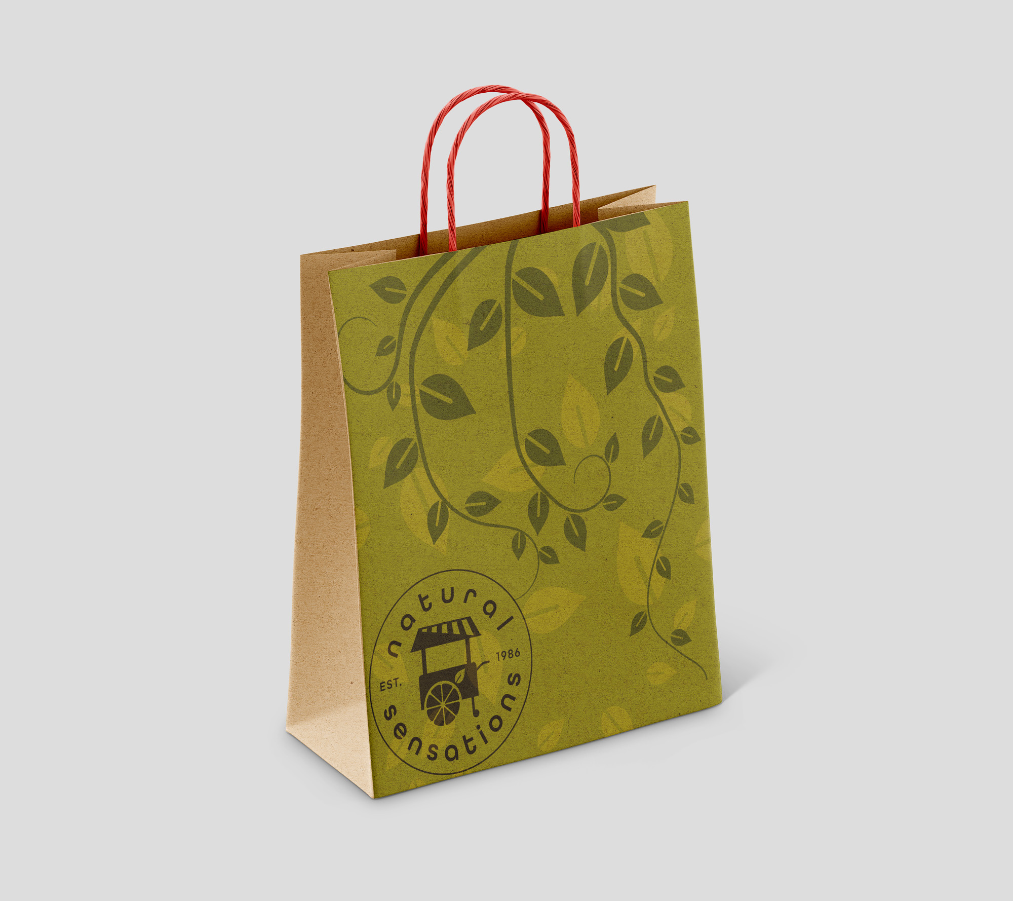 Natural sensations recycled paper packaging